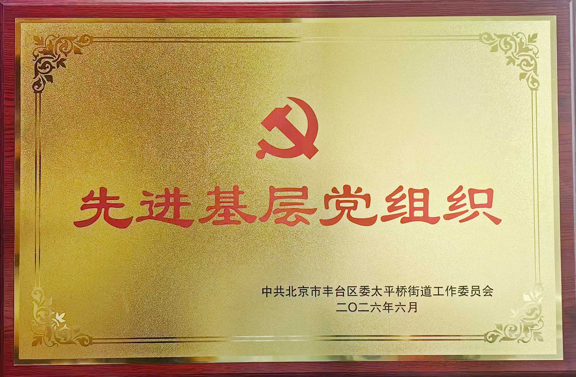 喜报｜党建引领践初心 载誉前行庆华诞——云开网页版登录入口-云开中国招标集团党支部获评辖区“优秀基层党组织”